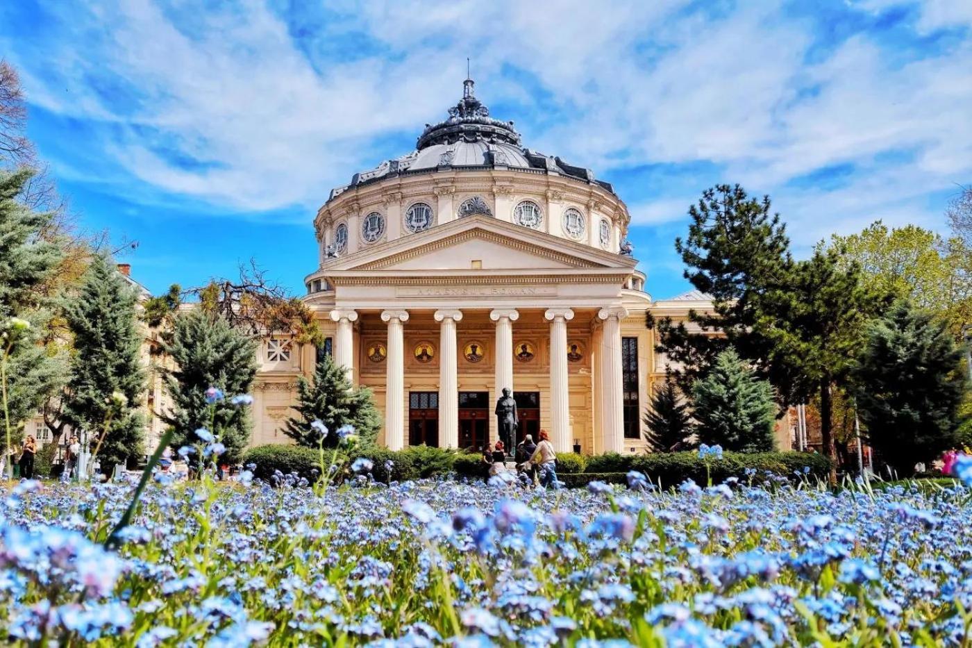 Like Home Stirbei Bucureşti Ngoại thất bức ảnh